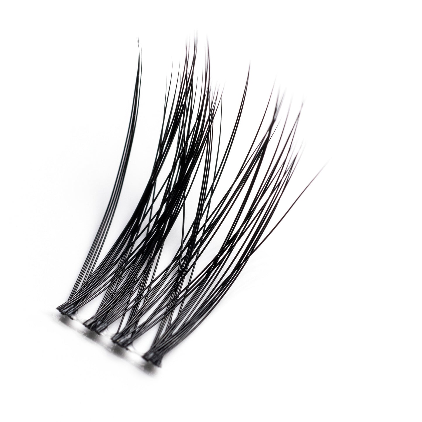 Fake Factory Rebel Lash Box XXL - Well Medica Shop