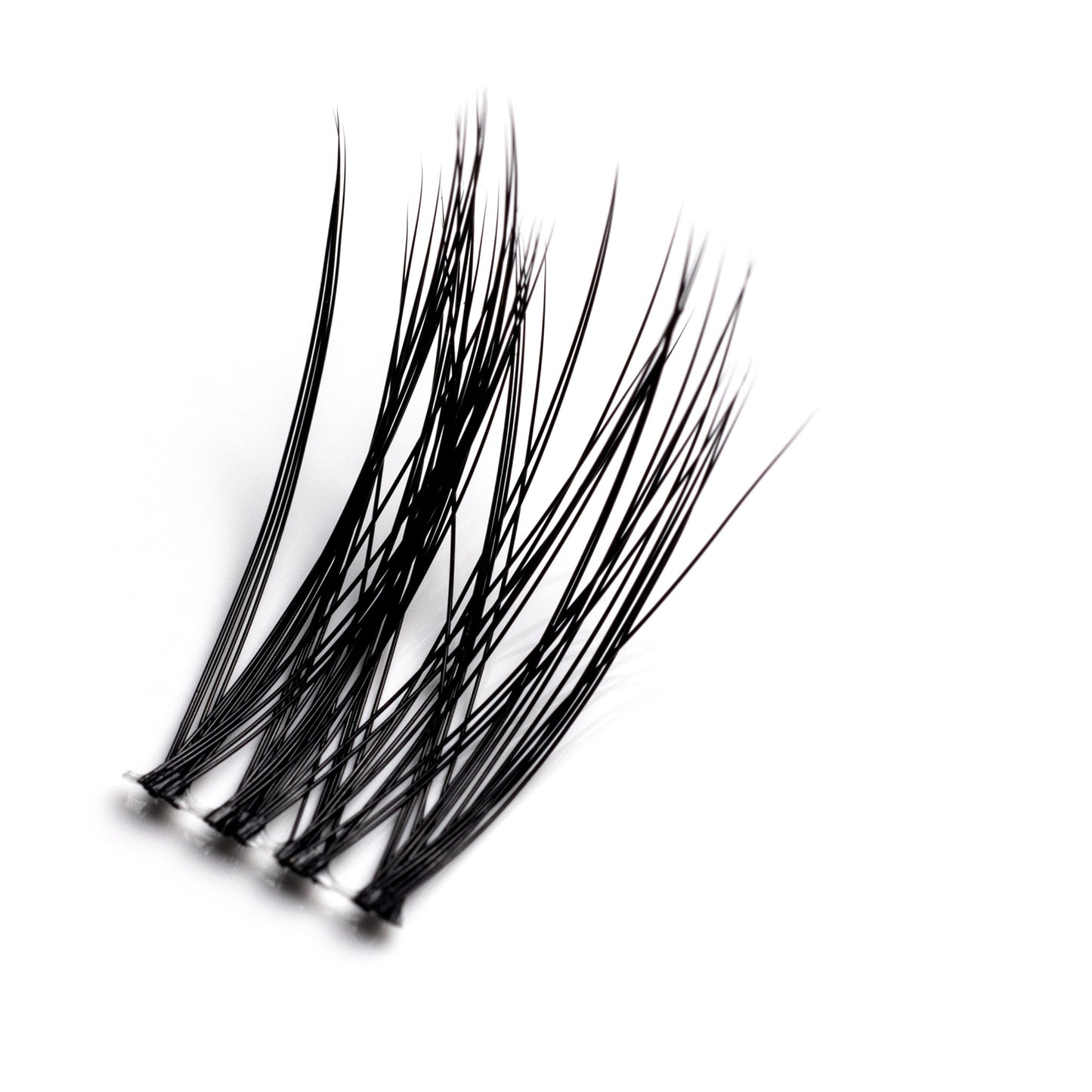 Fake Factory Hot Mom! Lash Box XXL - Well Medica Shop