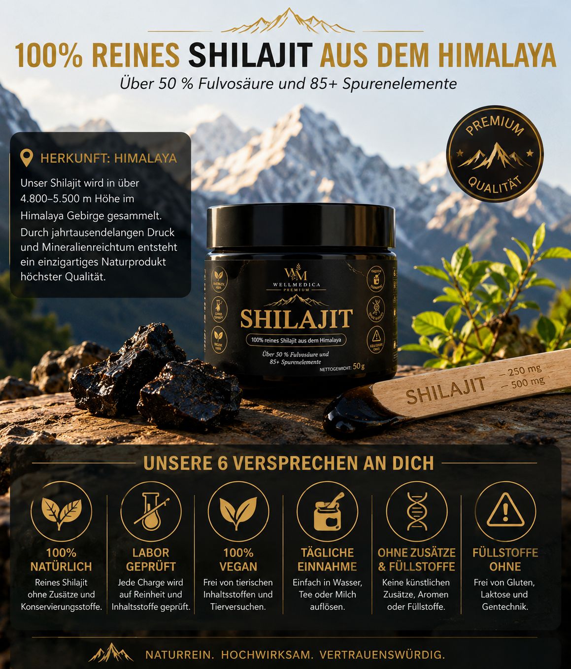 Shilajit – 100% rein aus dem Himalaya